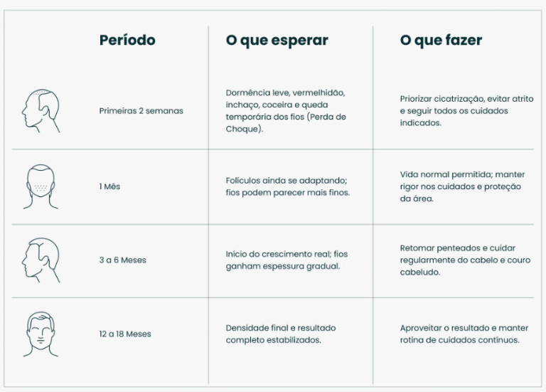 Etapa resultado transplante capilar